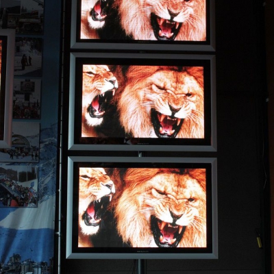 Ecrans avec lions