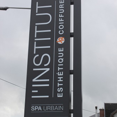 L'Institut