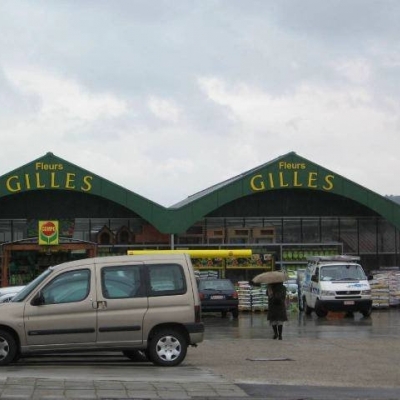 Fleurs Gilles