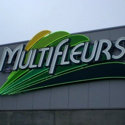 Multifleurs