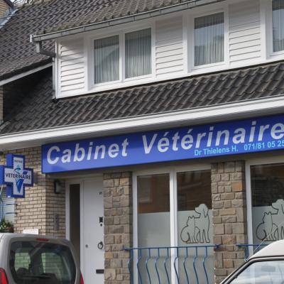 Enseigne et croix de pharmacie Vétérinaire Fleurus