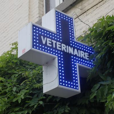 Enseigne et croix de pharmacie Vétérinaire Anhée