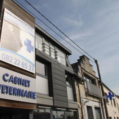 Enseigne et croix de pharmacie Vétérinaire Hastière